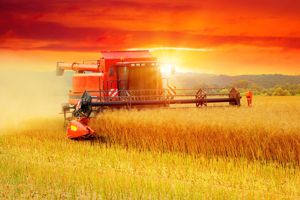 Farm Worker Canada Recruitment