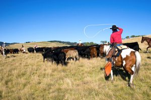 Ranch Farm Worker Canada Recruitment