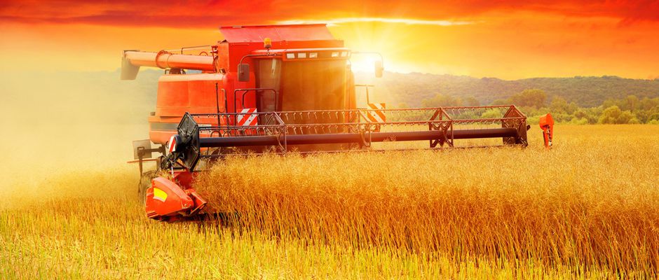 Farm Worker Jobs Canada